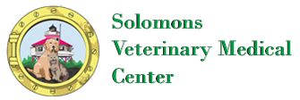 Link to Homepage of Solomons Veterinary Medical Center