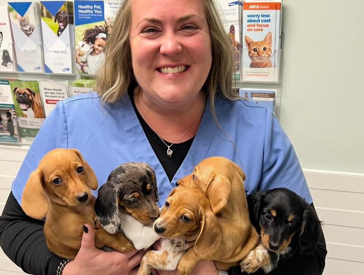 Puppy Care