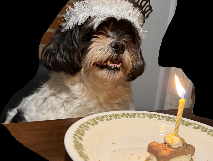 Preventive Care for Dogs