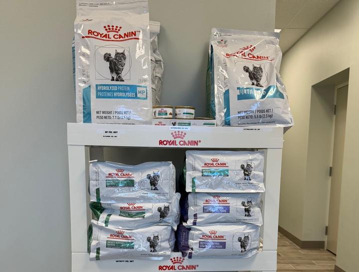 $City pet nutritionist